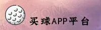 功能与服务详解